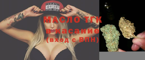 молекула духа Алексеевка