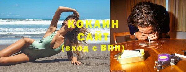 молекула духа Алексеевка