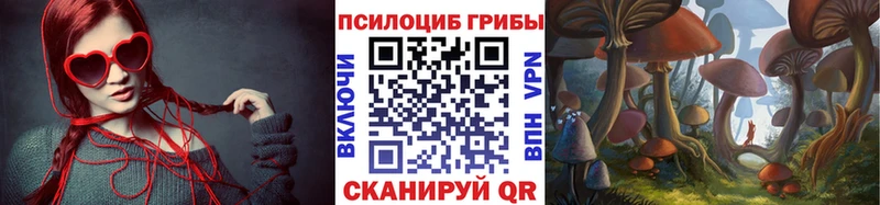 где продают Арамиль Галлюциногенные грибы прущие грибы
